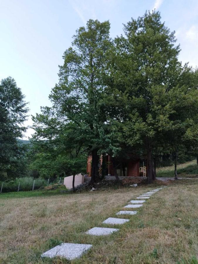 Kuca U Sumi - Forest House Near National Park Una - Air Spa Lohovo Bihać Exterior foto