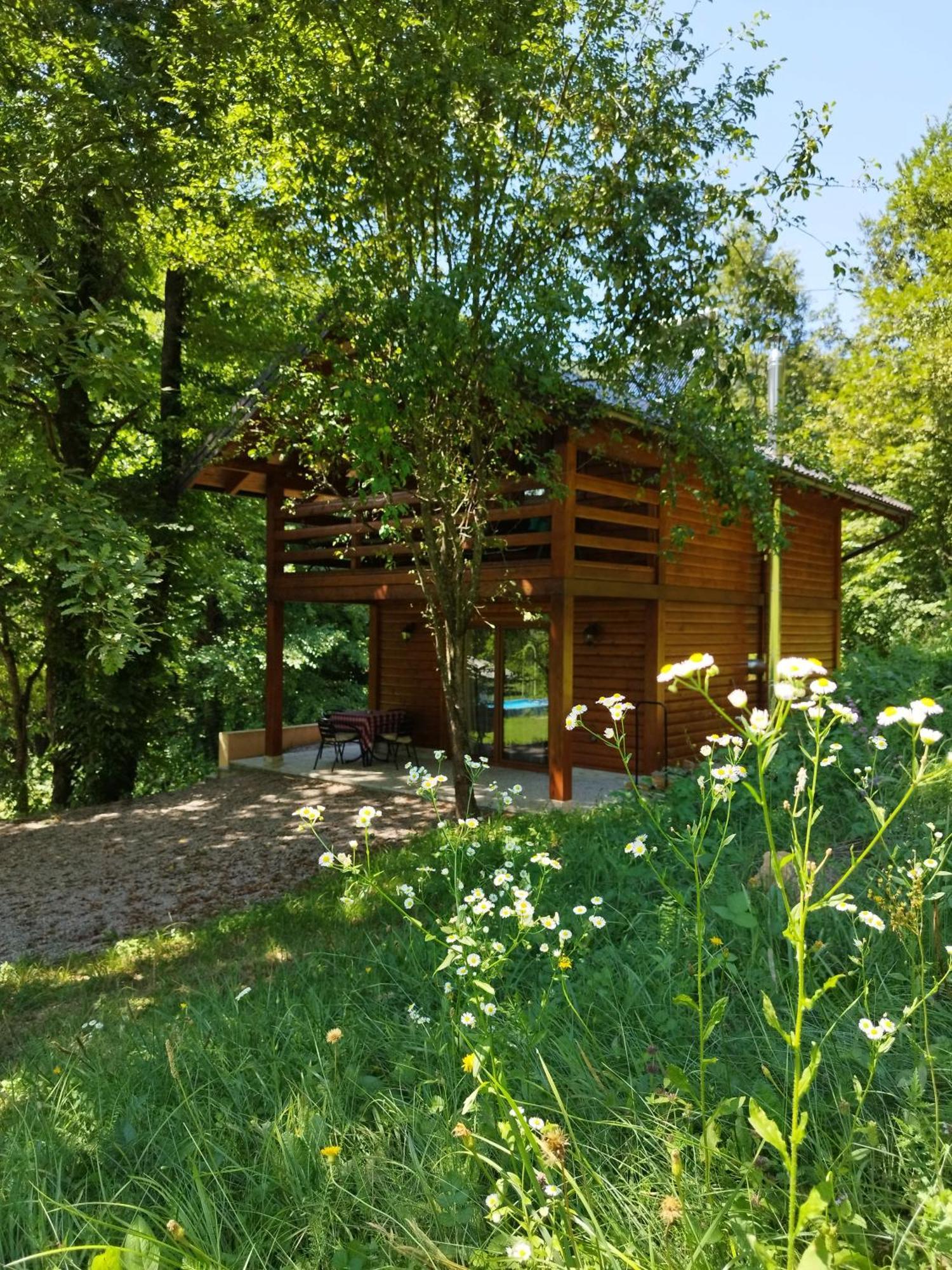 Kuca U Sumi - Forest House Near National Park Una - Air Spa Lohovo Bihać Exterior foto